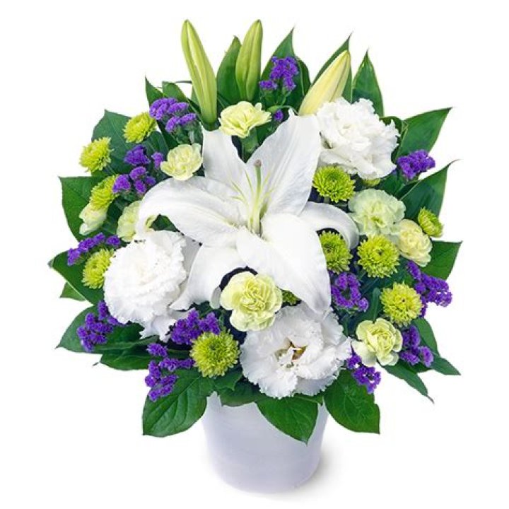 Disney Dreamlight Valley: How to Catch a Deeply Musical Fish? How to Make Best Fish Forever? - SarkariResult