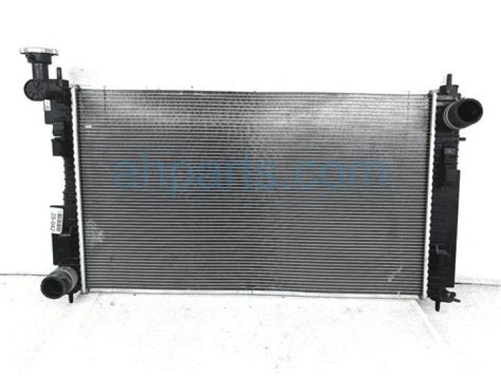 JoAnn Collins Death Cause And Obituary : What Happened To JoAnn Collins? - SarkariResult