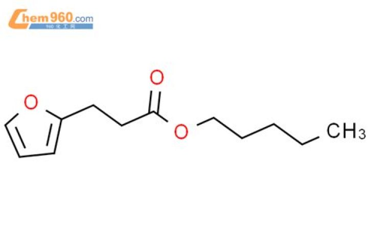 Is Kat Dennings in a Marriage? Discover Kat Dennings' Marital Status - SarkariResult