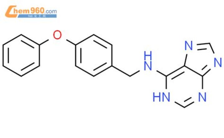 Mark Walter Net Worth: Career, Home, Age, Income, All You Need to Know - SarkariResult