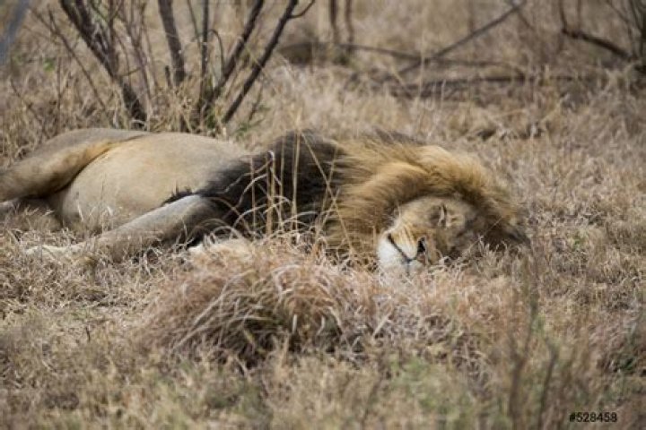 How to Fix / Solve: Wizard101 Error 522 Bad Gateway - SarkariResult