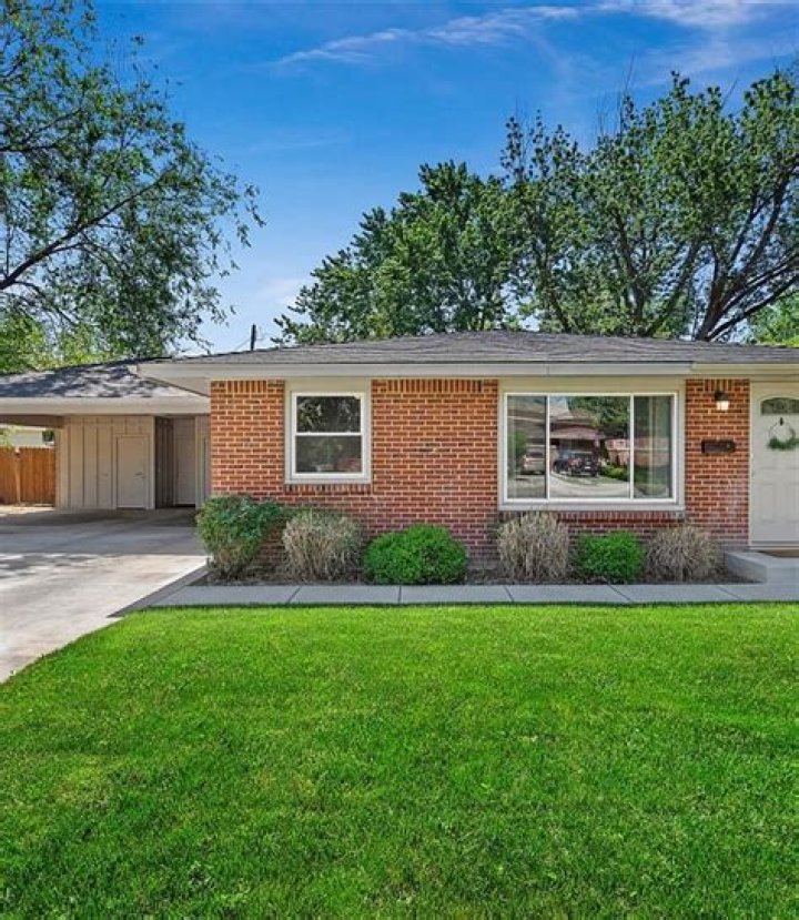 The Other Black Girl Season 3: Hotstar Preparing For New Season? Renewal Status Revealed! - SarkariResult