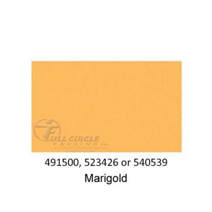 Pokemon GO December Community Day 2023: Rewards & Timed Research Tasks - SarkariResult