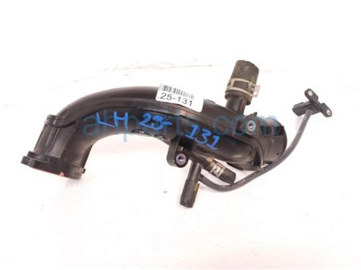 What Is Cathy's Illness In Smothered? It's The Most Googled Question! - SarkariResult