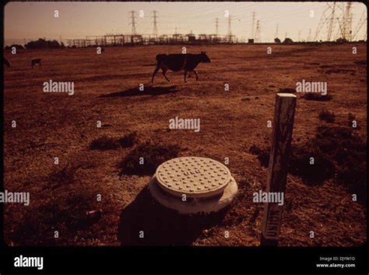 Maryalice Cash And Cynthia Domini Died In Phoenix AZ Murder-Suicide : What Happened To David De Nitto? - SarkariResult