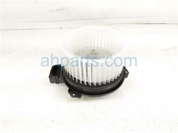 Is Manuela Zinsberger's Spouse Expecting? Who Exactly is Manuela Zinsberger? - SarkariResult