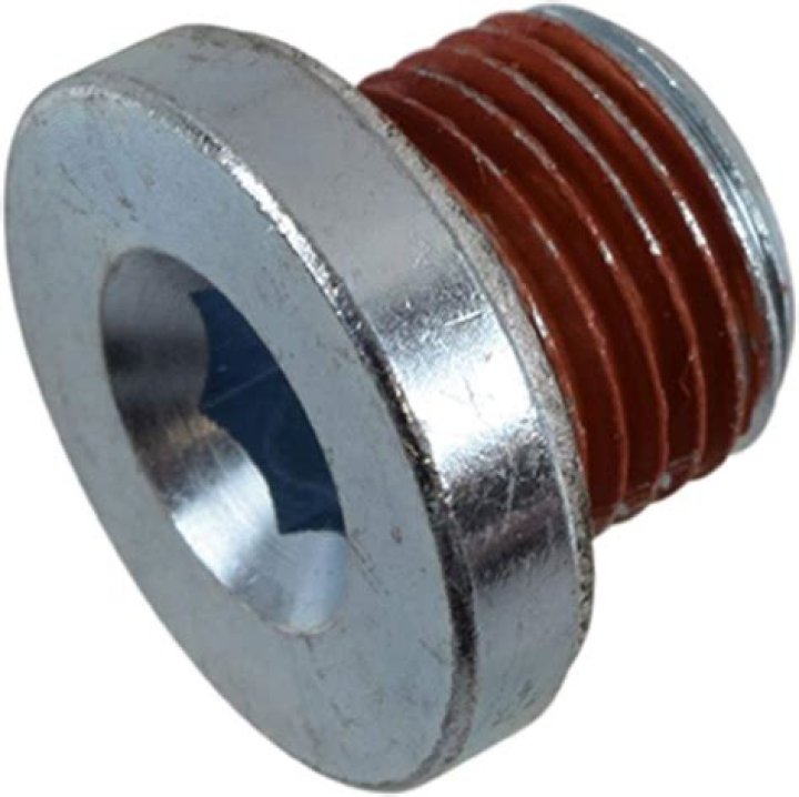 Meadow Walker's Wedding Date: When Did She Tie the Knot? Exploring Details About Meadow Walker's Ex-Husband. - SarkariResult