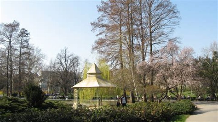 Gyeongseong Creature Part 2 Release Date : Recap, Cast, Review, Spoilers, Streaming, Schedule & Where To Watch? - SarkariResult