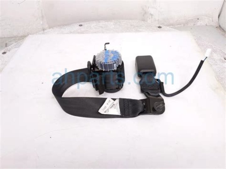 Courtney Clenney: Updates on Courtney Clenney's Trial Status - SarkariResult