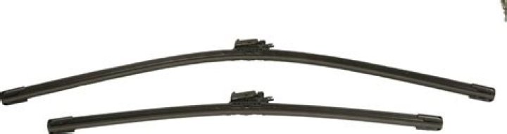 Brenda Fruhvirtova Height, What Is The Hight Of Brenda Fruhvirtova? - SarkariResult