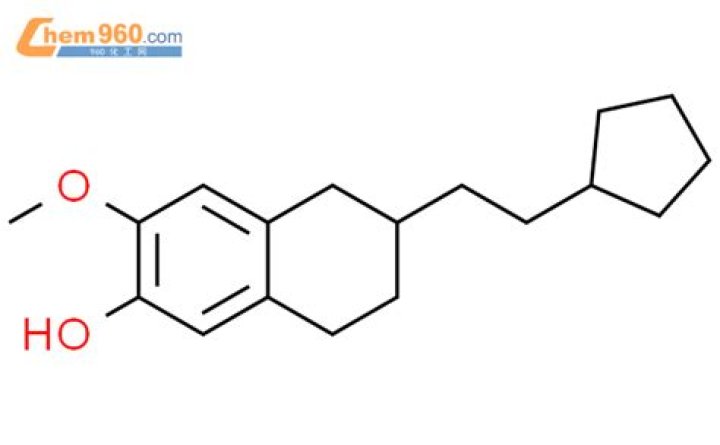 Kaia Gerber's Relationship Status: Exploring Kaia Gerber's Dating Life and Background - SarkariResult
