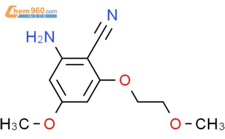 Big Mama Eternal Face Reveal 2024: Wikipedia And Age - SarkariResult