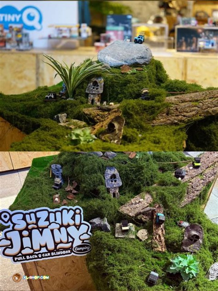 Roi Huber Net Worth: Career, Family, Age, Income, Wiki, Bio, All You Need to Know - SarkariResult