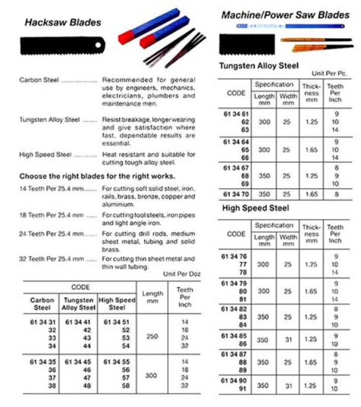 Matthew Slater Net Worth: Career, Family, Age, Income, Wiki, Bio, All You Need to Know - SarkariResult