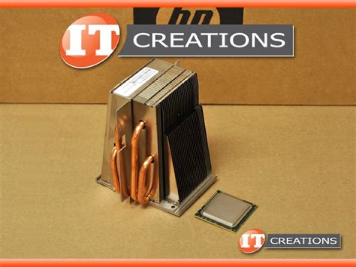 Kelsey Cook Net Worth, Wiki, Parents, Ethnicity, Religion, Wikipedia, Biography, Age, Family And More - SarkariResult