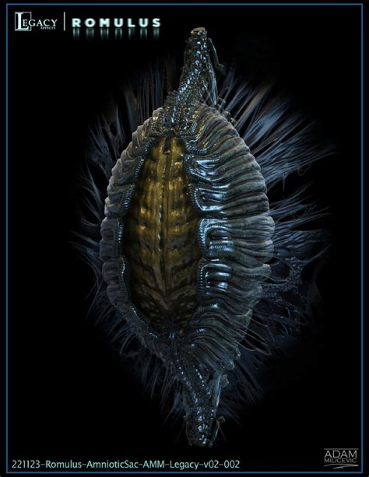 Adam Milicevic Net Worth