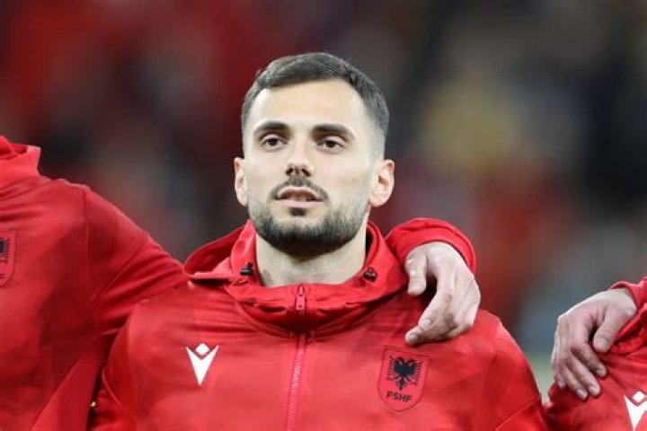 Adem Suljic Net Worth