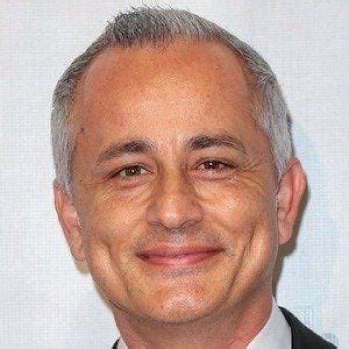 Ali Afshar Net Worth