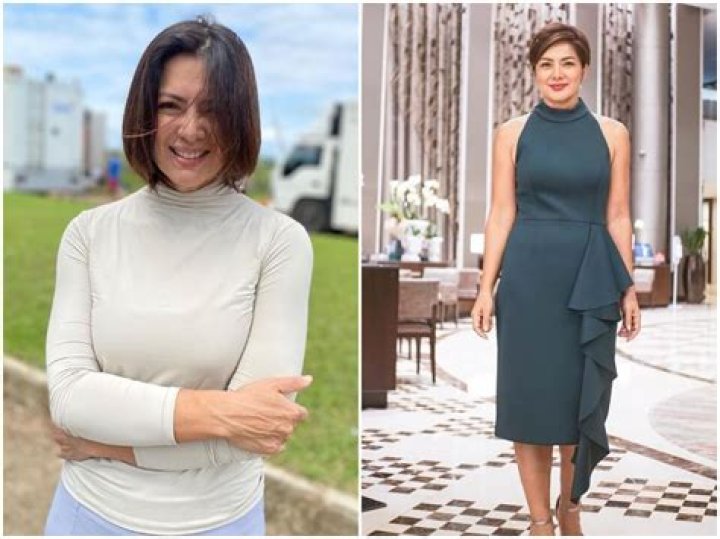 Alice Dixson Height, Weight, Net Worth, Age, Birthday, Wikipedia, Who, Nationality, Biography