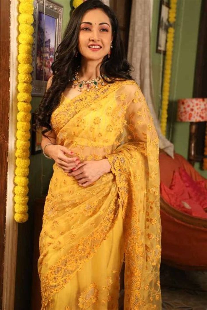 Anthony Delon’s Net Worth, Biography, Career, Awards, Fact and Life Story