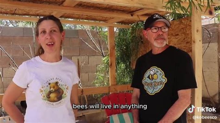 
Beekeeping age meaning explained as TikTok trend takes over internet 