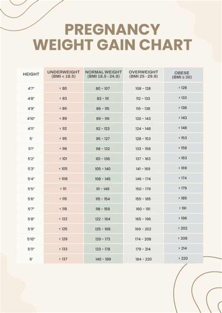 Cecily Strong Weight Gain And Pregnancy: Facts Or Rumors Checked
