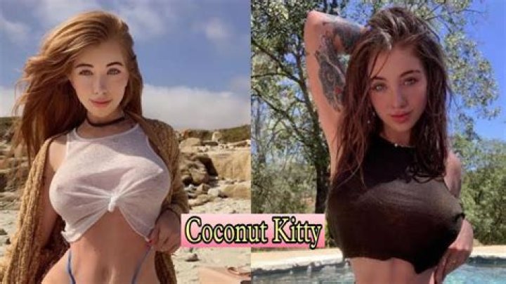 Coconut Kitty Wiki, Biography, Age, Height, Weight, Dating, Chest, Body, Legs