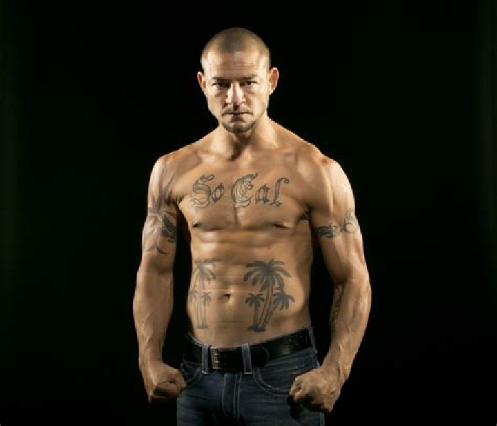 Cub Swanson