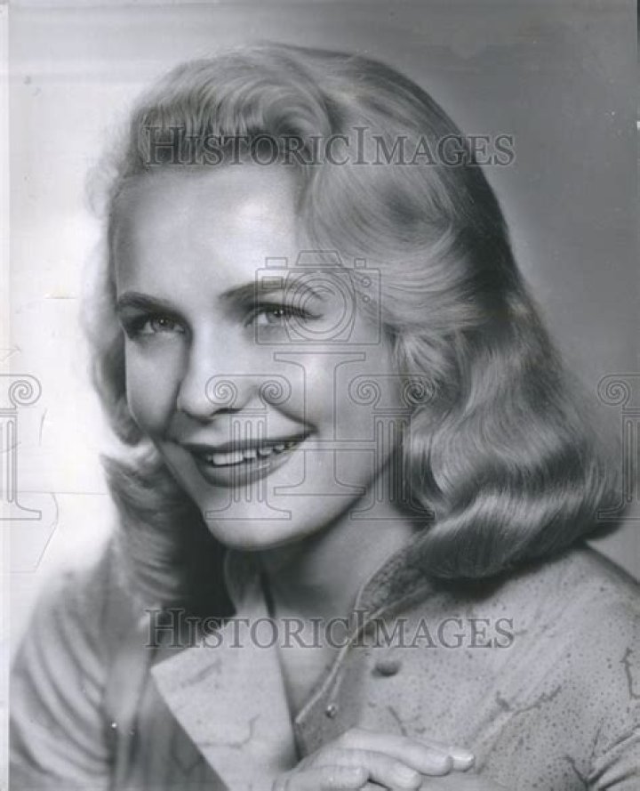 Diana Van der Vlis Net Worth