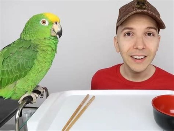 Did Nikocado Avocado Eat His Parrot? Everything On Mukbang Youtube Vlogger