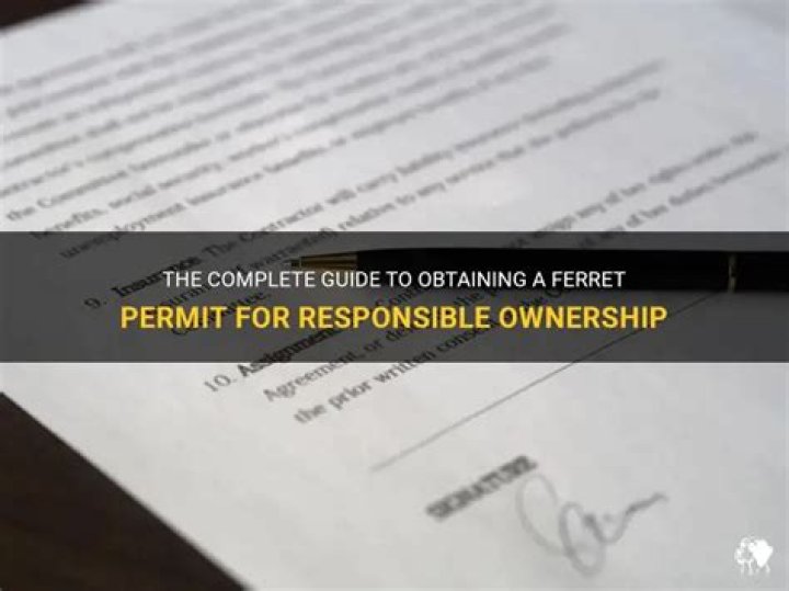 Do you need a permit to own a ferret in texas
