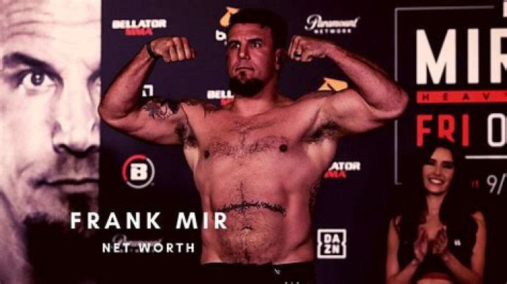 Frank Mir Net Worth