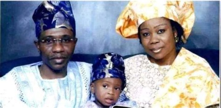 Godwin Emefiele Biography: Age, Career, Wife, Family & Net Worth