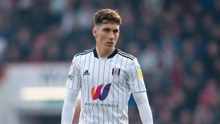 Harry Wilson Net Worth