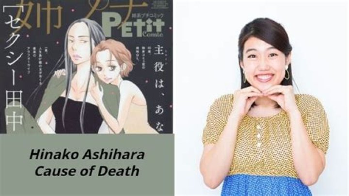Hinako Ashihara Death: Renowned Japanese Manga Artist Found Dead