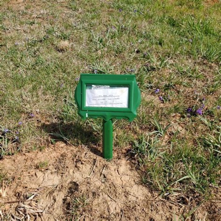 How Did Eric Rohan Justin Die? What Was His Cause Of Death?