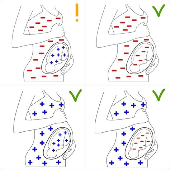 How did the discovery of the rhesus factor affect society
