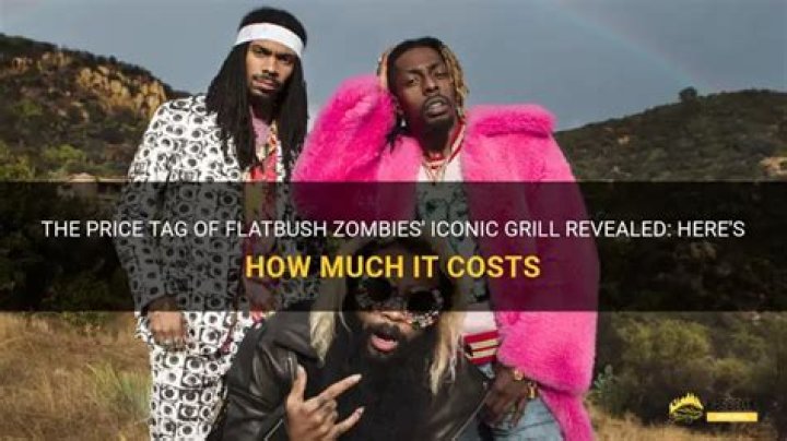 How Much Money Does Flatbush Zombies Make? Latest Flatbush Zombies Net Worth Income Salary