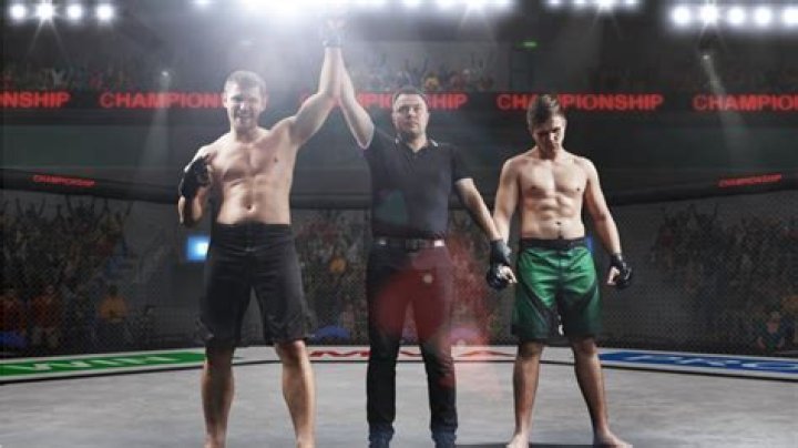 How to become a ufc referee