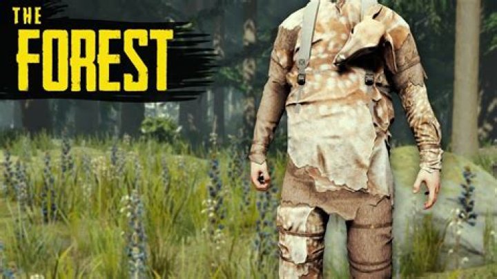 How to make a warm suit in the forest