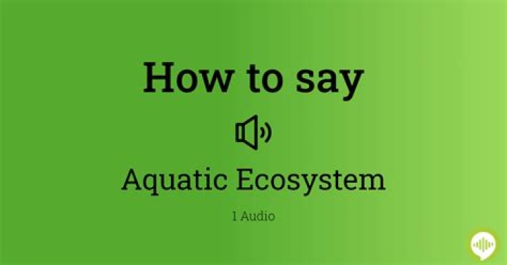 How to pronounce aquatic