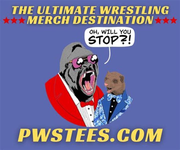 Ion Croitoru Net Worth