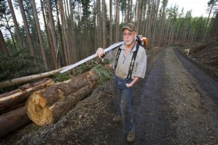 Jay Browning (Ax Men) Dead or Alive, Accident, Net Worth, Wife, Family, Bio