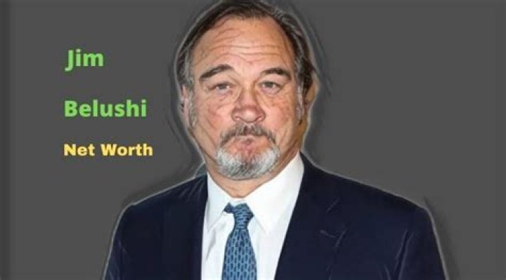 Jim Belushi Net Worth