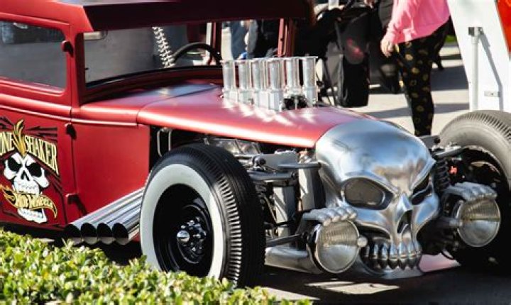 Jocelyn Shaker Age, Birthday, Wikipedia, Who, Nationality, Biography