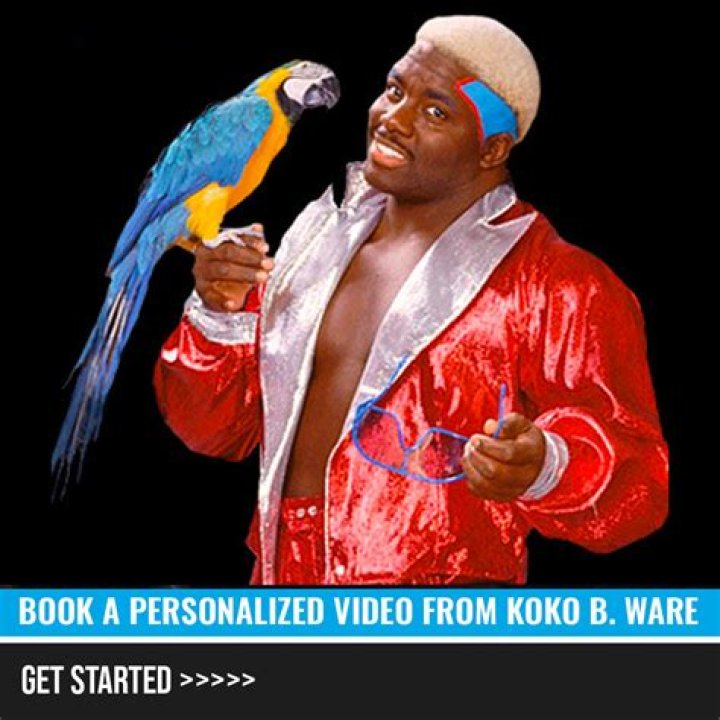 Koko B. Ware