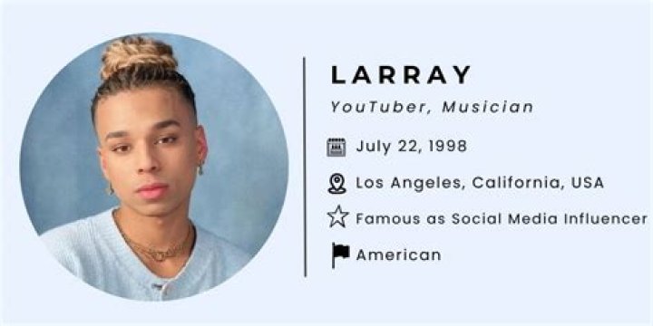Larray Youtuber Bio, Wiki, Age, Height, Boyfriend, Salary and Net Worth