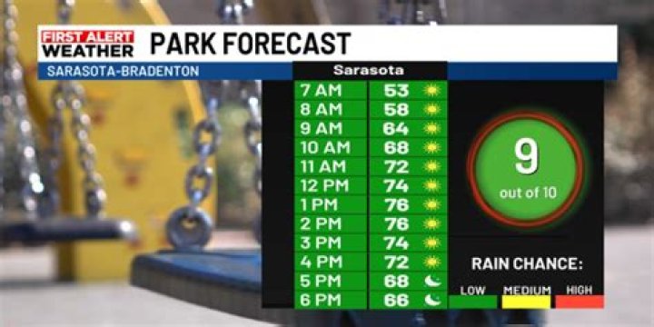 Leslee Lacey Net Worth