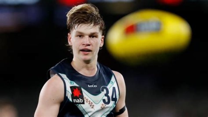 Lewis Hayes Net Worth