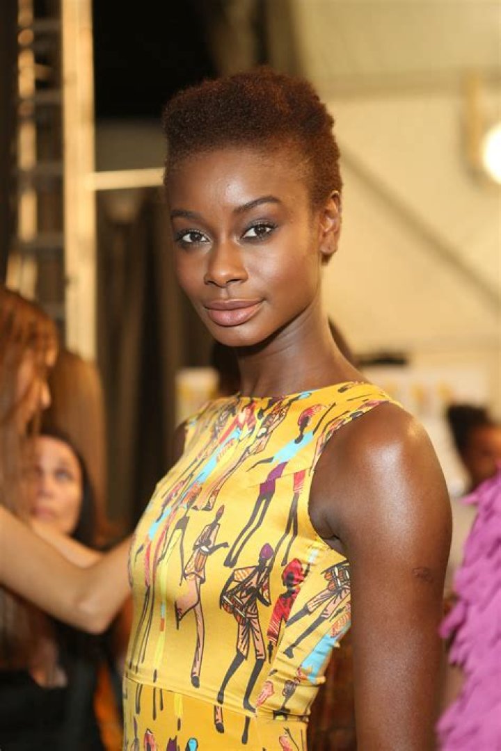 Lisa D’Amato Net Worth